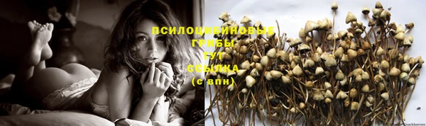 дживик Корсаков