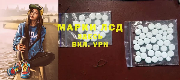дживик Корсаков