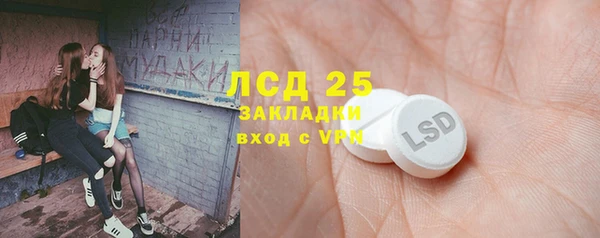 дживик Корсаков