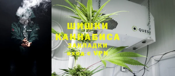 дживик Корсаков