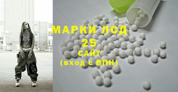 дживик Корсаков