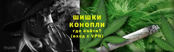 дживик Корсаков
