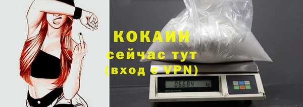 дживик Корсаков