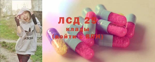 дживик Корсаков
