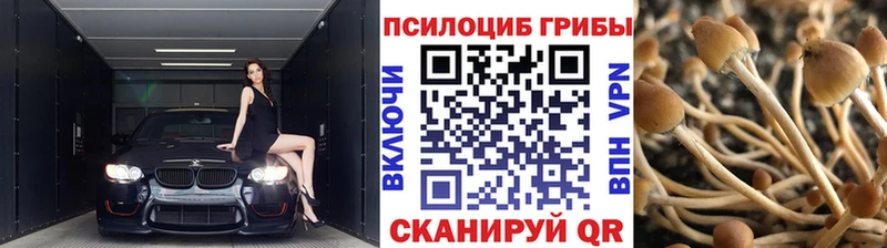 Псилоцибиновые грибы Magic Shrooms  Чита 