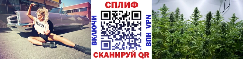 МАРИХУАНА гибрид  сколько стоит  Чита 